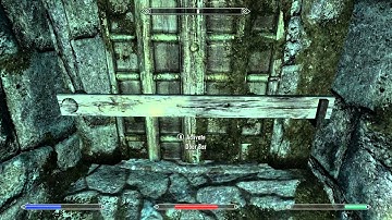 The Elder Scrolls V Skyrim Walkthrough Part 166 - Talking Dog