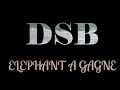 DSB ELEPHANT A GAGNE Audio Officiel mp3