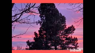 Totally Terrific Tuesday