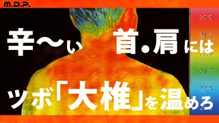 勝野式 首・肩・背中温快 メイダイ商品紹介動画