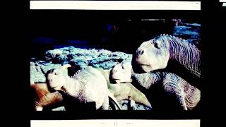 Dinosaur - Stand Together Hd