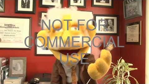 Professor Hans Von Puppet Accounting Video