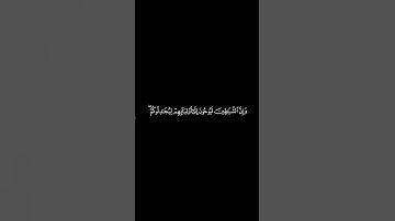 #القران_الكريم #سورة_الانعام #المنشاوي #كرومات الآيات 121 _ 122