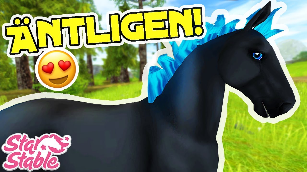 De nya Jorvikiska Urhästarna! 🦄