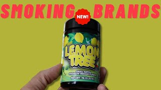 The Vault Nationwide: Lemon Tree Review