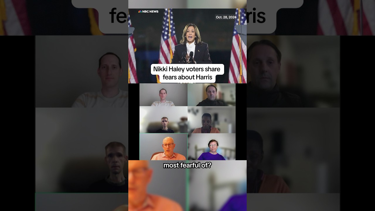 Nikki Haley voters share fears about Harris  Nikki Haley voters share fears about Harris 