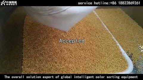 color sorting machine for millet,optical sorter machine for millet