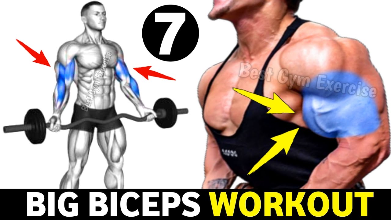 7 Big perfect biceps exercises Bicep workout YouTube