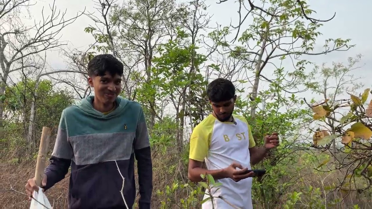 We Went To Pluck Berries...But This Happened!