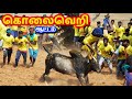 தாறுமாறான No.1 ஆட்டம் ஆடிய காளைகள்... Tamizhan Trending