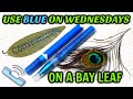 💙 USE BLUE ON A BAY LEAF ON WEDNESDAYS FOR MANIFESTING COMMUNICATION, RECONCILIATION AND SPEAKING 💙