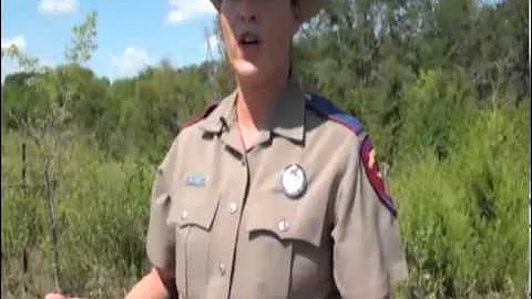 Officials confirm 5 dead in I-20 accident, all were children.