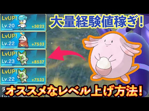 【ポケモンSV】中盤・終盤から効率よくレベルを上げる方法を紹介！【スカーレット・バイオレット】