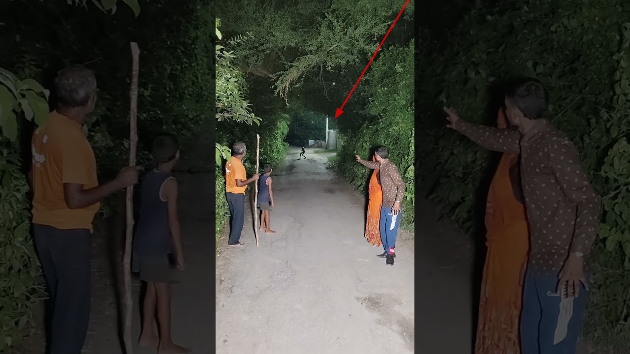 part 4 | serbian dancing lady | sr heits Vlogs | 