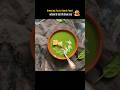 सेहत के 5 देसी नुस्खे जो वाकई काम करते हैं! #facts #shorts #amazingfacts #health #food #ytshorts