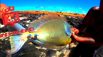 fishing on hawaii beach/Hawai