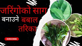 जरींगोको साग पकाउने तरिका | Jaringo ko saag Pakaune tarika । Best green vegetable recipe