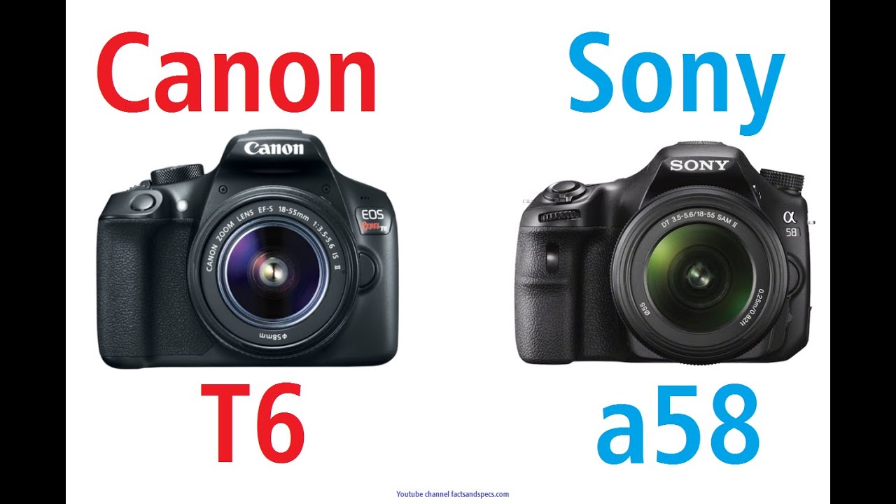 Sony canon сравнение