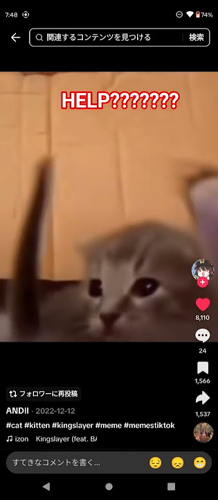 HELTP ME WHY IS THISCACTUALLY FUNNY WTH #babymetal #kingslayer #cat #cats #meme