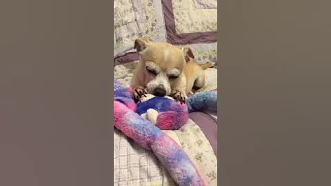 I miss mommy