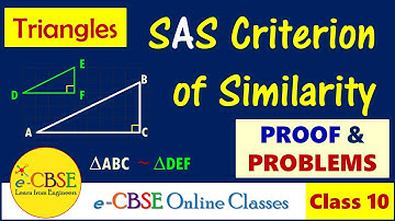 SAS Similarity of Triangles | Class 10 |  Side Angle Side Similarity Theorem Triangles