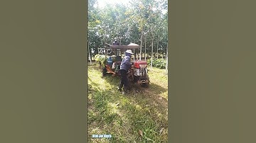 Cô gái Êđê quay xe công nông và lái xe #giaitri #shortvideo #shorts