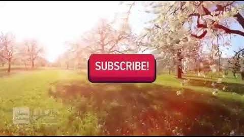 تلاوه لم تسمعها اذنك من قبل  مماتيسر من سوره مريم بصوت القارئ/ خالدرمضان