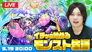 【モンストLIVE配信】イチから始めるモンスト生活｜通常回！【しろ】