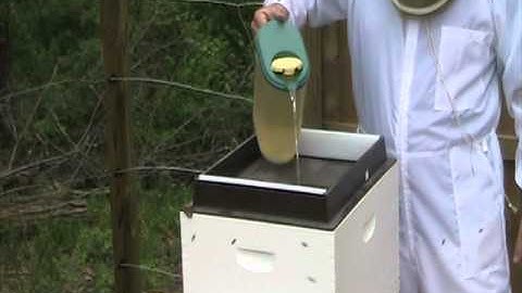 Install Bee Package Video 2