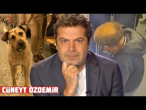 Video: Gündüz Saatlerindeki Artışın Nedeni Nedir?