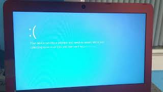 Spongebob Chocolate Ear Has Bsod