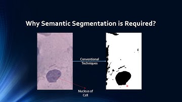 Semantic Segmenatation - Microscopy images - PAP Smear