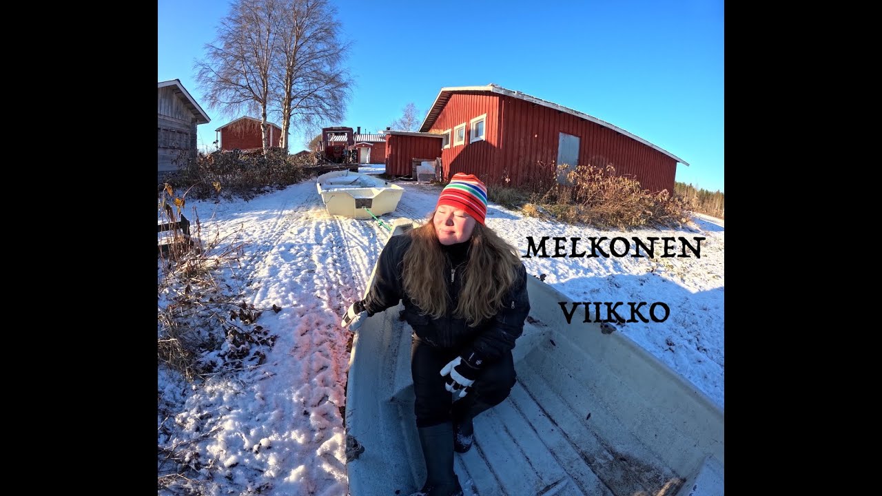 KISSAN JA ÄIDIN KOITOKSET: TOIPILAITA TULI - TAPAHTUMARIKAS VIIKKO -ELÄMÄÄ JA KÖTÖSTELYÄ MAASEUDULLA