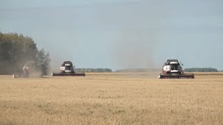 картинка: Меры господдержки для аграриев продлили в Казахстане