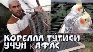 Корелла тўтиси учун қафас ясаш.