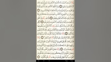 ماهر المعيقلي سورة النحل مكتوبة صفحة 274 مصحف المدينة المنورة جودة عالية