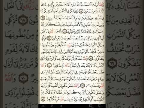 ماهر المعيقلي سورة النحل مكتوبة صفحة 274 مصحف المدينة المنورة جودة عالية