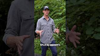 93%
