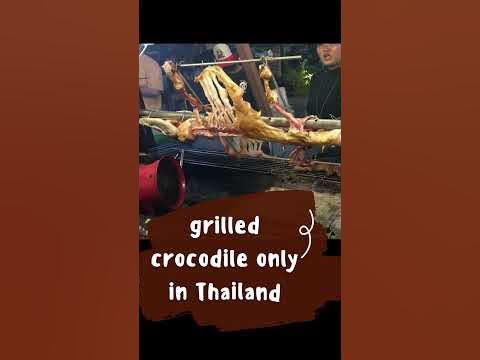 Grilled Crocodile only in Thailand - YouTube