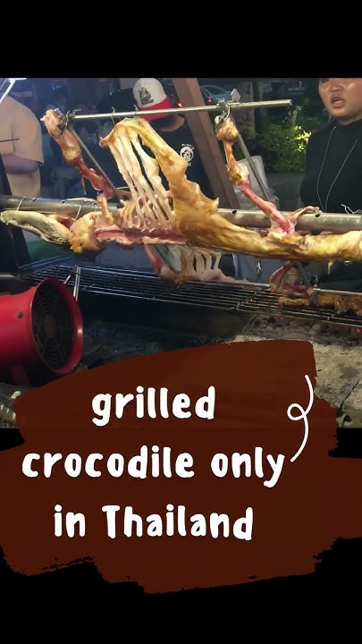 Grilled Crocodile only in Thailand - YouTube