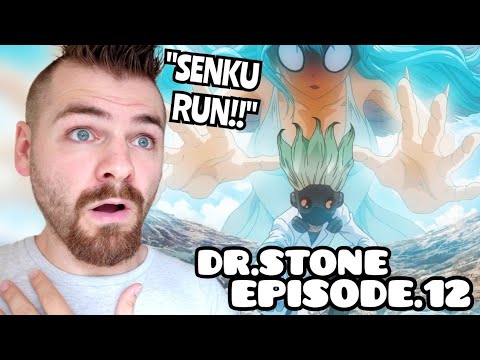 dr stone season 2 episode 12｜TikTok Search