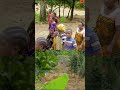 MAPOROMOKO MAWE NA UGONGO YA DIMILO MOROGORO YAPELEKEA SHULE KUFUNGWA KWA KAULI YA DC KILAKALA 
