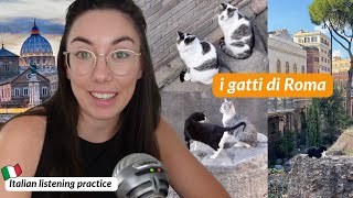 Ecco i gatti più famosi di Roma! (Subtitles)