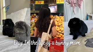 Day in the life of a bunny mom | Cleaning, groceries, packages (: by Dumbo and Bear 1,897 views 1 year ago 9 minutes, 35 seconds