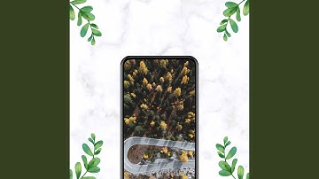 Pulsating Mellow Night Time