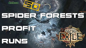 Path of Exile: Result of 50 Spider Forest Map Runs - Cost & Returns!