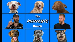 Dog Food Challenge - Eating Dog Food, Treats, and Ice Cream (Melvin's Munchies)