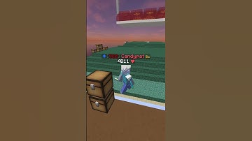 This Is What 10,000 Hours Of Playing Hypixel Skyblock Looks Like