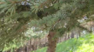 25 Апреля 2022 Г.