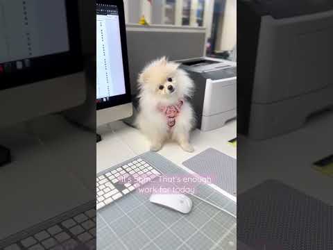 The sweetest co-worker